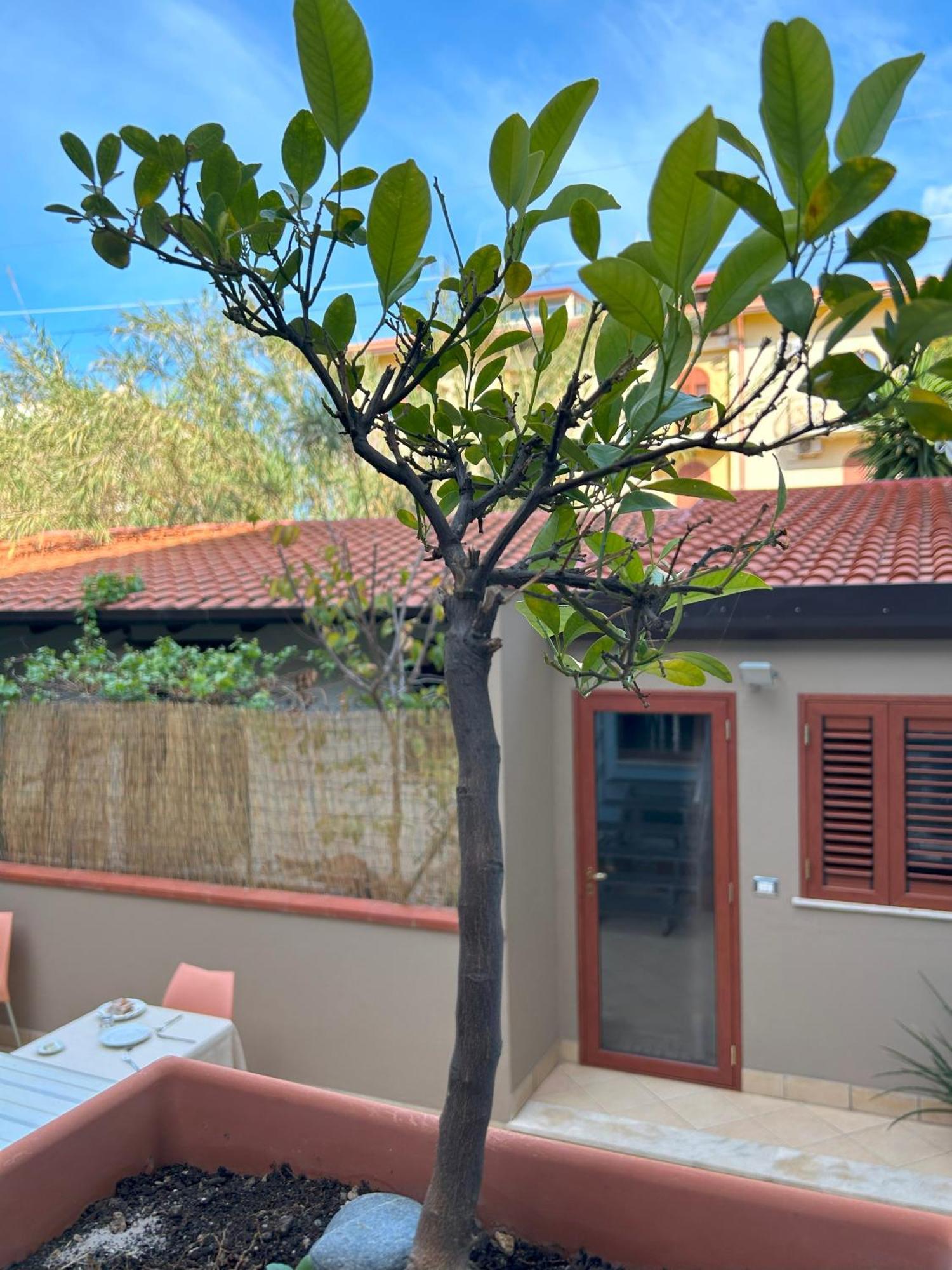 La Piazzetta Bed & Breakfast Giardini Naxos Exterior photo